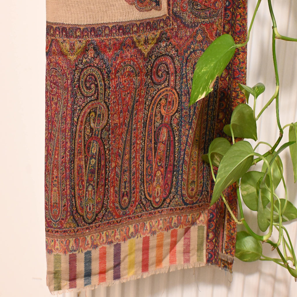 Paisley Design|Paisley Dark Border Pashmina Shawl