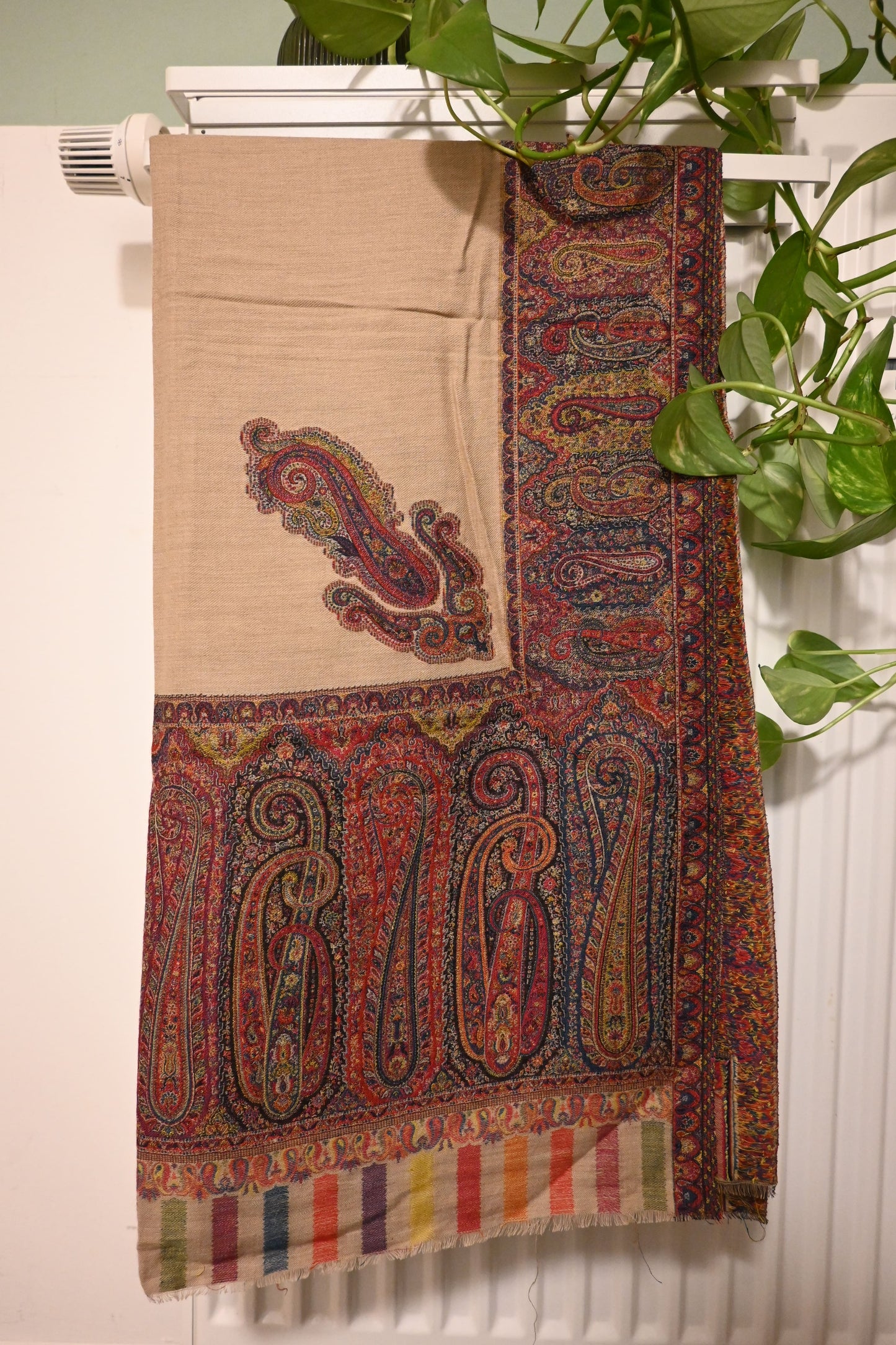 Paisley Design|Paisley Dark Border Pashmina Shawl
